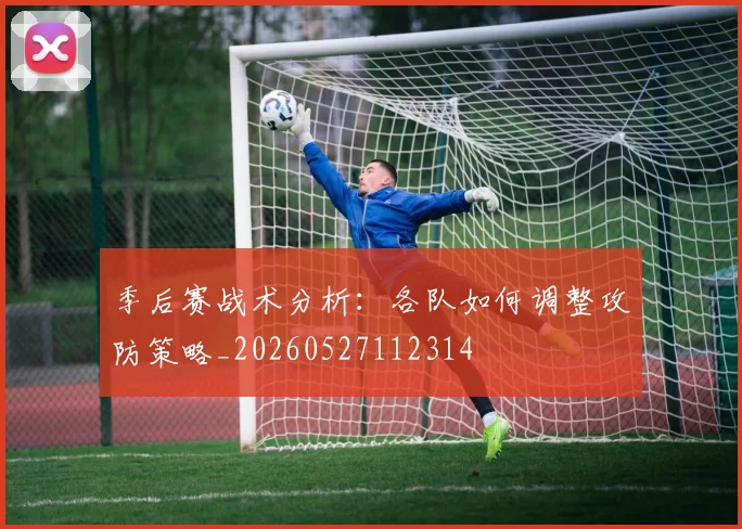 季后赛战术分析：各队如何调整攻防策略_20260527112314